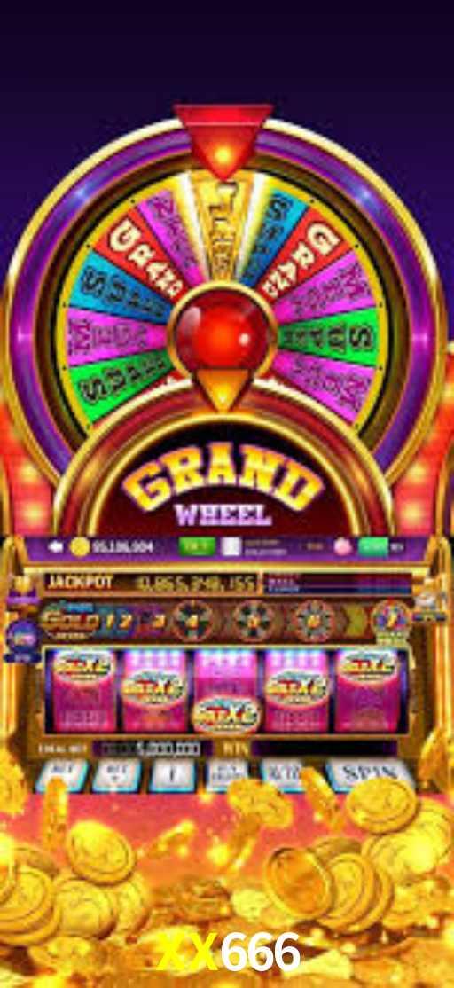 Interface Premium XX666